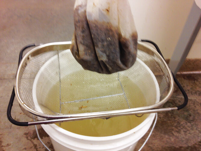 How to Make Paper From Plants Mother Earth News